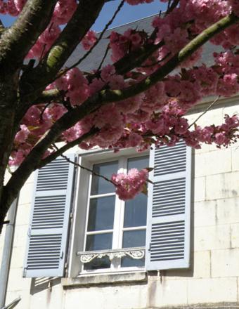 La Closerie Saint Jacques Loches Buitenkant foto